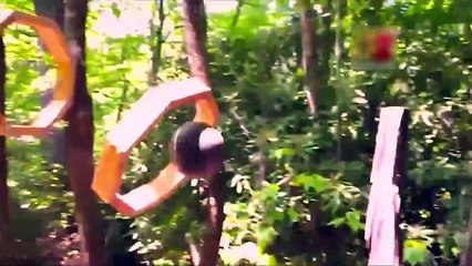 T2x02 - Planeta Innovacion - Juguetes para Caballos - Español Latino