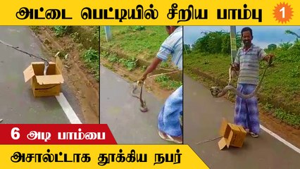 வீட்டிற்குள் புகுந்த 6 அடி நல்லபாம்பை லாவகமாக தூக்கிய நபர்