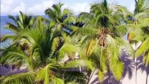 4K Paradise - Meditation Nature Music, 1 Hour Relaxing Music for Stress Relief - Island 4K Video