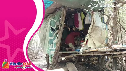 Kisah Kakek Sebatang Kara yang Hidup 15 Tahun di Tengah Hutan Mangrove Probolinggo