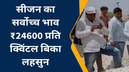 एशिया की सबसे बड़ी मंडी का रिकॉर्ड : लहसुन को सीजन के सबसे ऊंचे दाम मिले