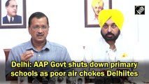 AAP govt shuts down primary schools as poor air chokes Delhi