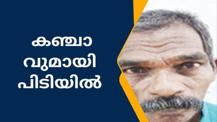 കഞ്ചാവുമായി രണ്ടുപേർ പിടിയിൽ