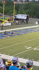 Fast Dog Grabs Frisbee