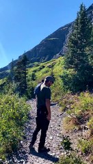 Close Bear Encounter in Glacier National Park