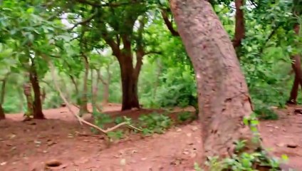 مسلسل هوس مايا الحلقة 105 مدبلجة