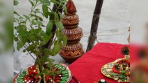 Tulsi Vivah 2022: पीरियड में कैसे करें तुलसी विवाह जानें संपूर्ण विधि |Period Tulsi Vivah *Religious