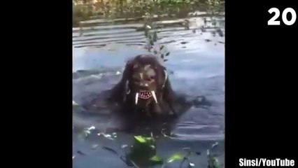 30 Scary Videos That'll Make You Question Everything