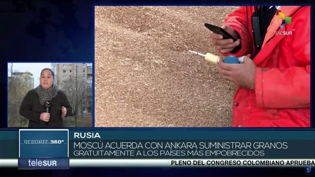 Rusia acuerda con Türkiye suministrar granos de forma gratuita a países necesitados