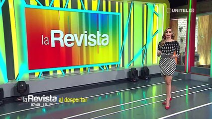 CAO: Más de un millón de pollos bebé murieron en los camiones por el cerco en Santa Cruz