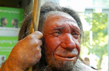 Neanderthals were killed by sex!