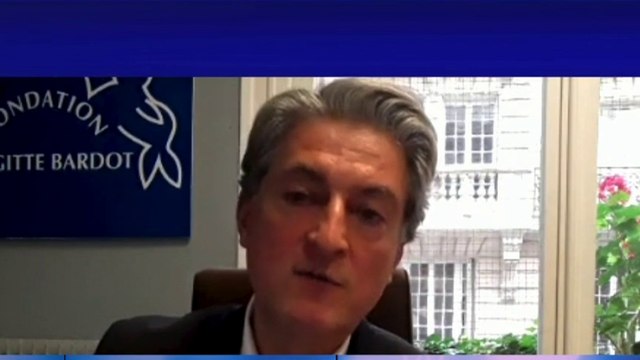 Christophe Marie, porte-parole de la Fondation Brigitte Bardot :«Ces actes de cruauté sont très préoccupants, ils créent une façon d’exister et de choquer», dans #LaBelleEquipe