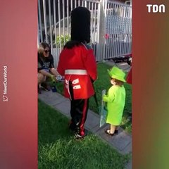 Une petite fille de 2 ans se déguise en reine Elizabeth II pour Halloween, ça émeut la toile