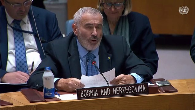 Bosnia and Herzegovina - Security Council, 9179th meeting - Sven Alkalaj Rep. of BiH