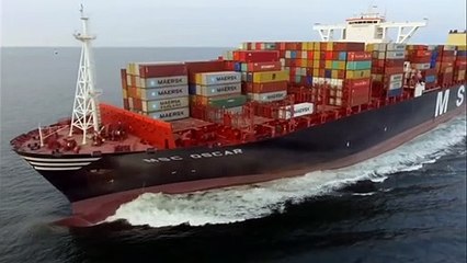 Top 5 Biggest Container Ships You Must See