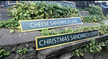 Sandwich sandwich celebrates national sandwich day