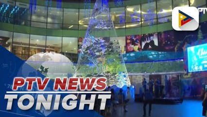 Marine Theme Park in Manila holds Christmas tree lighting ceremony