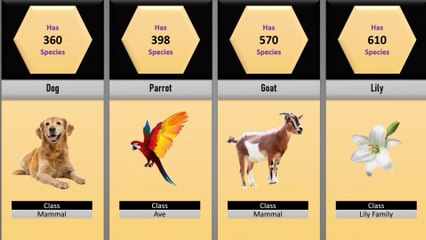 Total Plant & Animal Species | Comparison