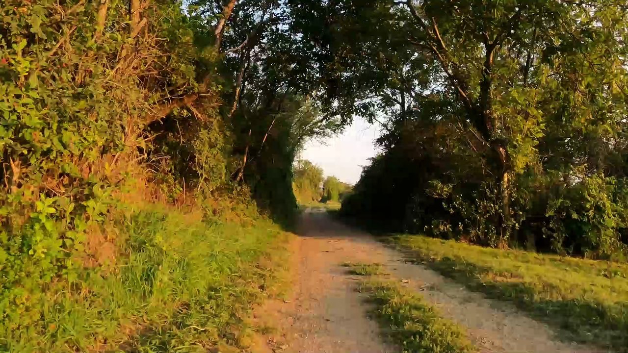 Mit dem Rad über den Goldberg (Laaer Berg)  - GoPro POV