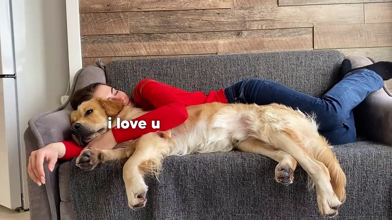 What Sleeping With A Snuggly Golden Retriever Looks Like...