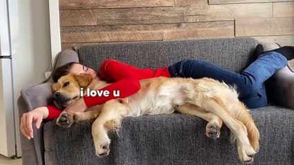 What Sleeping With A Snuggly Golden Retriever Looks Like...