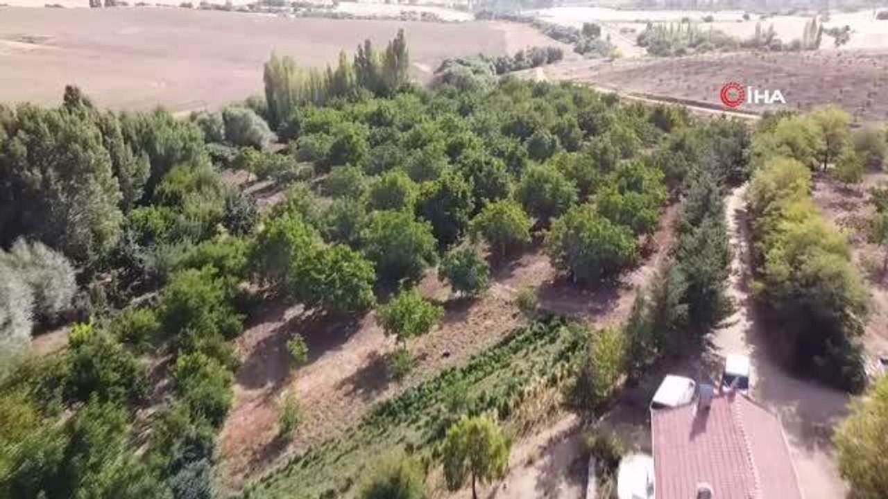 İç Anadolu Bölgesi seracılık ve gıda üretimde üs bölgesi haline gelecek