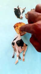 sapi mencari kepala #animals #puzzle #trending #shorts