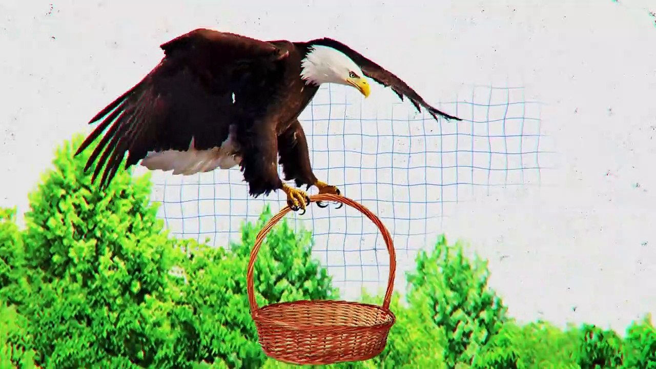 Heartless Hunting Moments of the Hungry Eagle