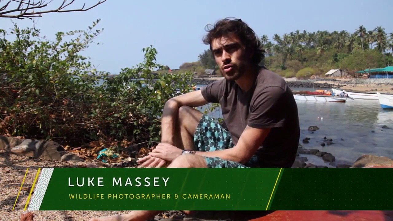 World's Cutest Animals - Se1 - Ep05 - Battle of the Cuties HD Watch HD Deutsch