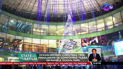 Ocean-inspired Christmas tree, pinailawan sa Concourse Plaza sa Manila Ocean Park | SONA