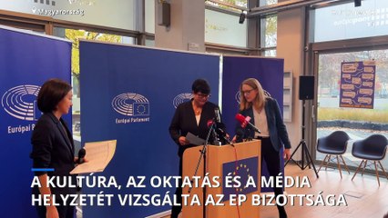 Nem tetszik az EP-nek, hogy beskatulyázzák a médiumokat Magyarországon