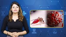 Dengue में Platelet कितनी होनी चाहिए | डेंगू प्लेटलेट काउंट नॉर्मल कितना होना चाहिए | Boldsky*Health