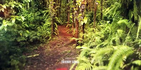 Deadly Tropics Staffel 1 Folge 1 HD Deutsch