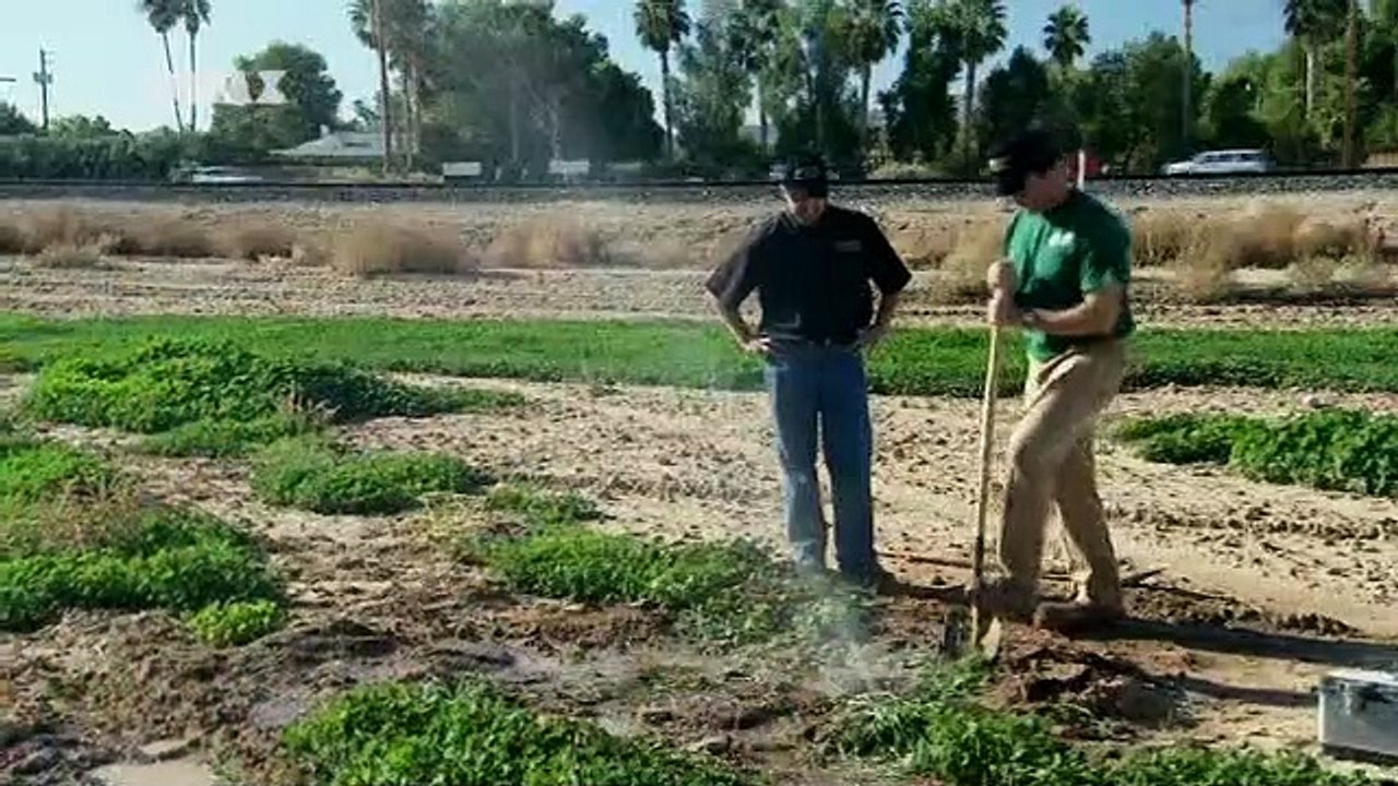 Dirty Jobs - Arbeit, die keiner machen will Staffel 4 Folge 3 HD Deutsch