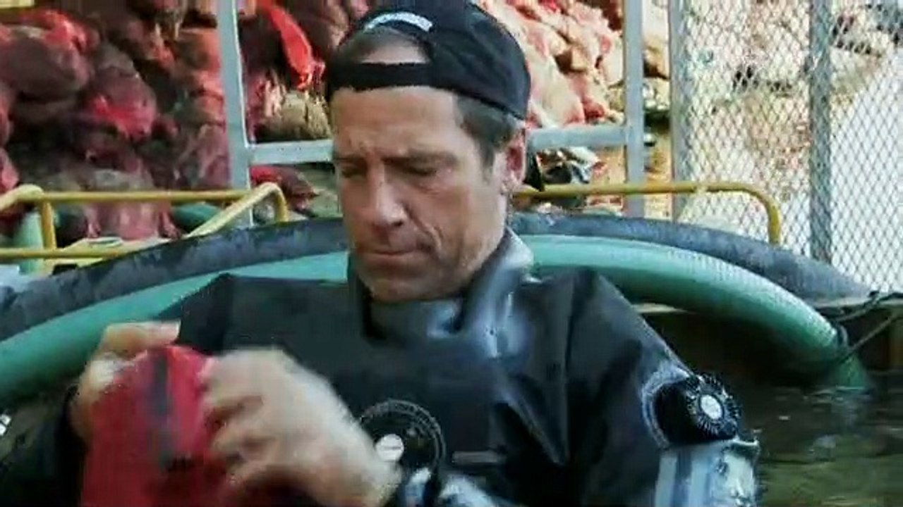 Dirty Jobs - Arbeit, die keiner machen will Staffel 3 Folge 27 HD Deutsch
