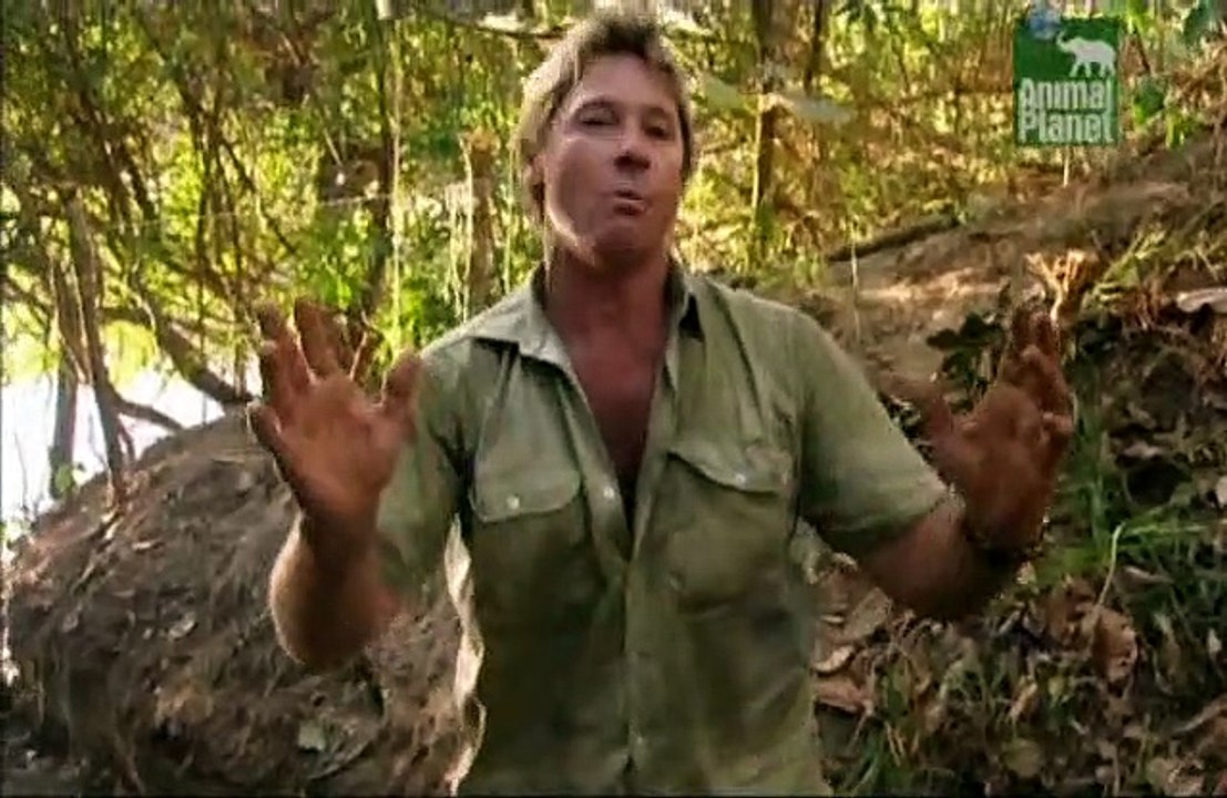 Crocodile Hunter Staffel 2 Folge 1 HD Deutsch