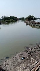 Spot Mancing Ikan Belanak