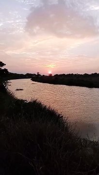 Spot Mancing ikan belanak Di Limbangan Balongan Indramayu