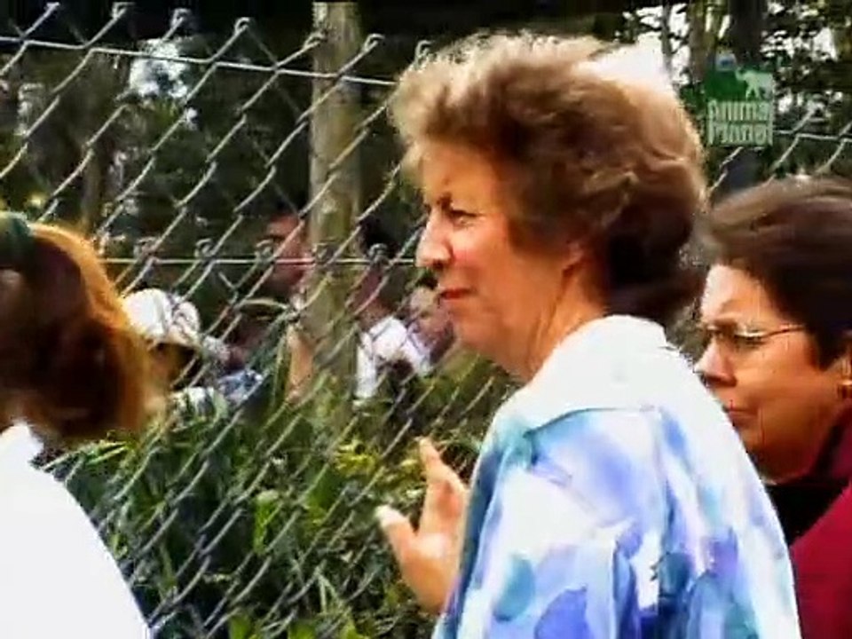 Crocodile Hunter Staffel 2 Folge 4 HD Deutsch