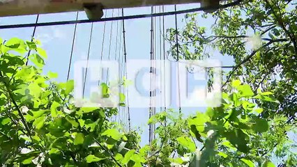 ¡En pleno siglo XXI! Solo en lancha se puede llegar a Apacilagua, Choluteca autoridades lo tienen en el olvido