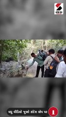 ગિરનાર લીલી પરિક્રમામાં યુવકો દ્વારા વન્ય પ્રાણીઓની પજવણી થતી હોવાનો વિડીયો વાયરલ