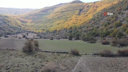 Ortaseki'de sonbahar güzelliği