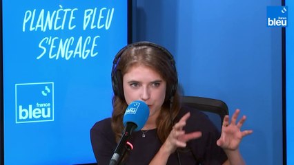 Paloma Mortiz : "Ce qui est assez fou avec les arbres c'est le pouvoir qu'ils ont sur nous !"