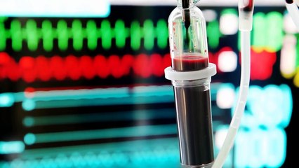 Top 10 Venomous Snakes You Must See