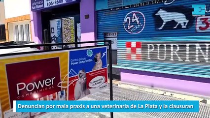 Denuncian por mala praxis a una veterinaria de La Plata y la clausuran