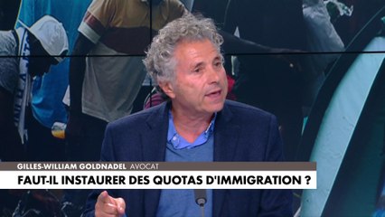 Descargar video: Gilles-William Goldnadel : «Quand on est cohérent, intelligent, honnête, on dénonce aussi le nombre d’immigrés délinquants qui pourrissent la vie des Français»