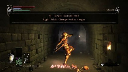 Demon's Souls online multiplayer - ps3