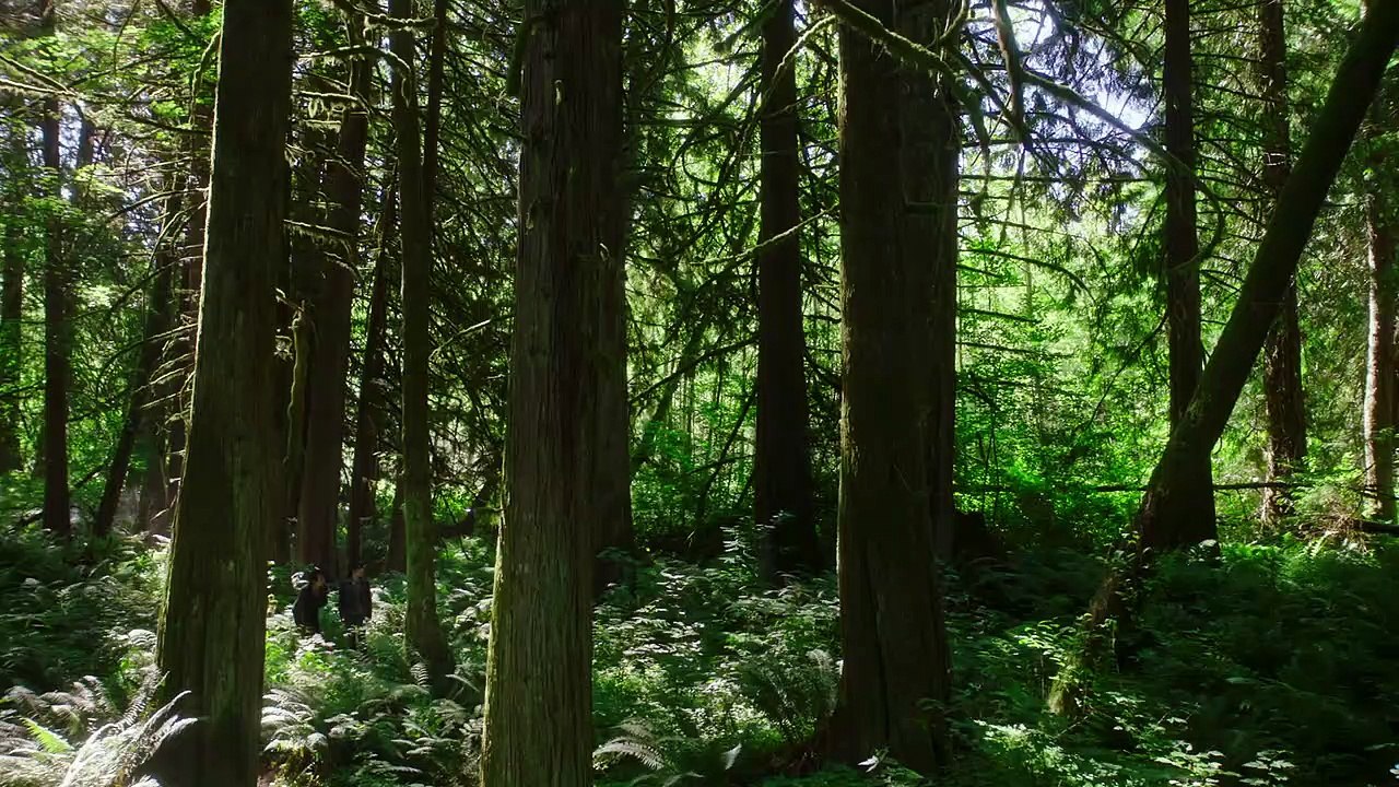 Dirk Gentlys Holistische Detektei Staffel 2 Folge 5 HD Deutsch