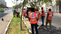 مبادرة مصرية لزراعة 100 مليون شجرة مثمرة رغم انتقادات قطع أشجار الشوارع
