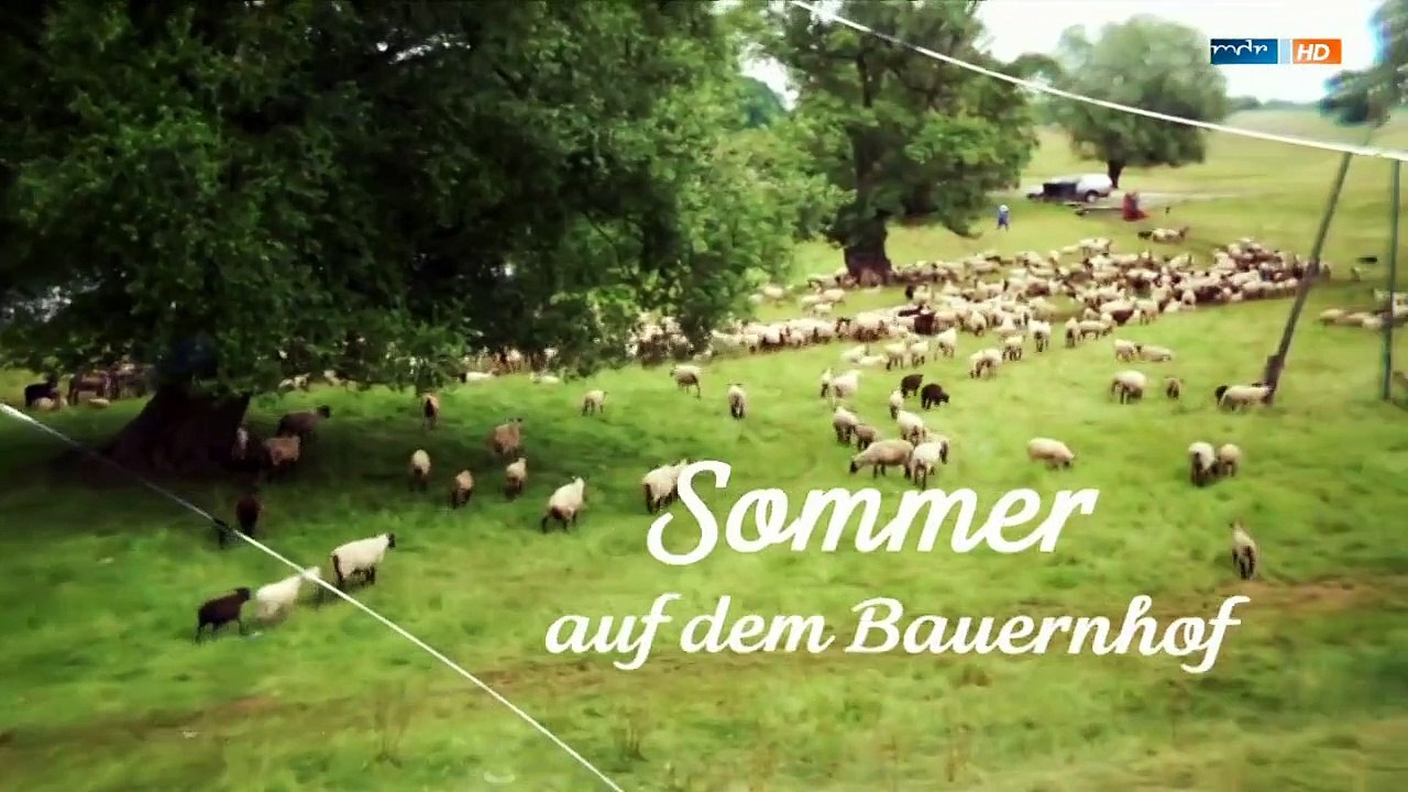Sommer auf dem Bauernhof Staffel 1 Folge 1 HD Deutsch
